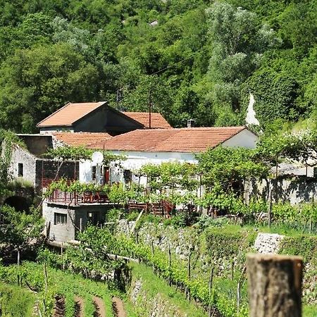 Country House Dajkovic Dupilo Екстериор снимка